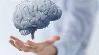 Beynimizin 7 büyük düşmanı