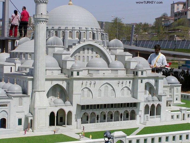 100.jpg