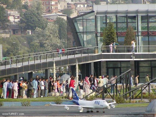 103.jpg