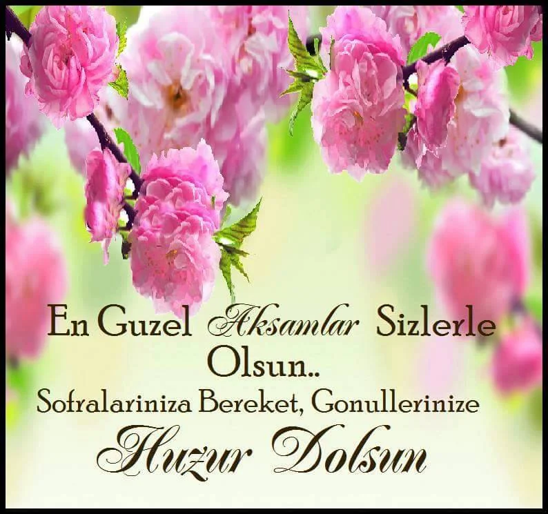 1274211648.webp