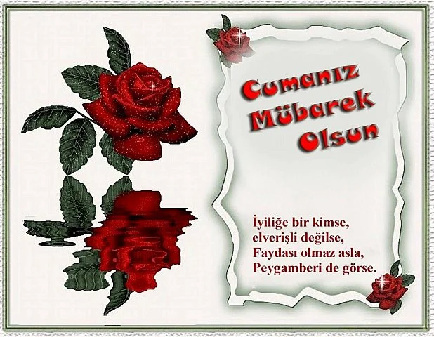 157.webp
