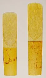 166.jpg