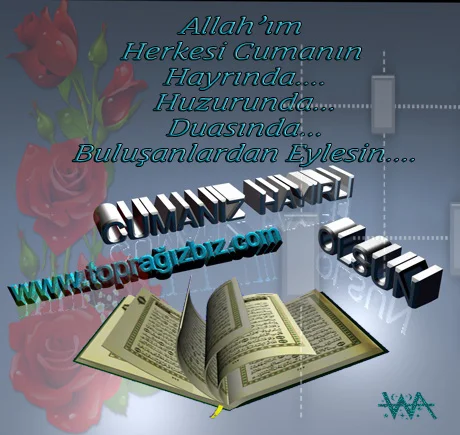 183lsl5.webp