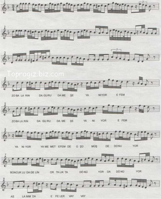 423.webp