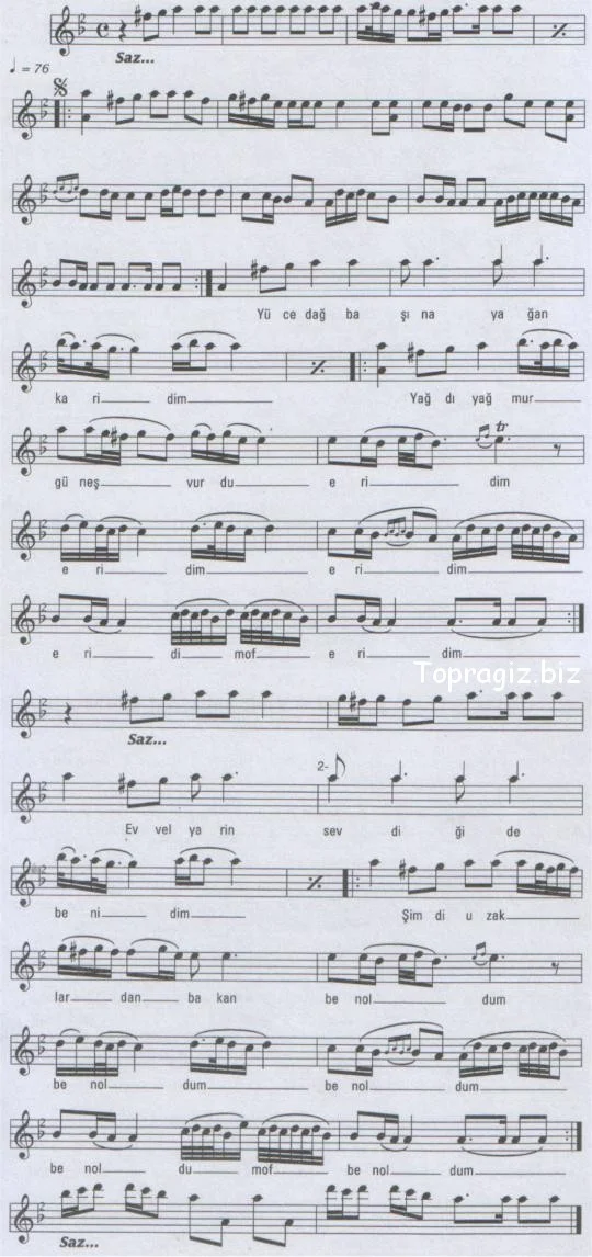 438.jpg
