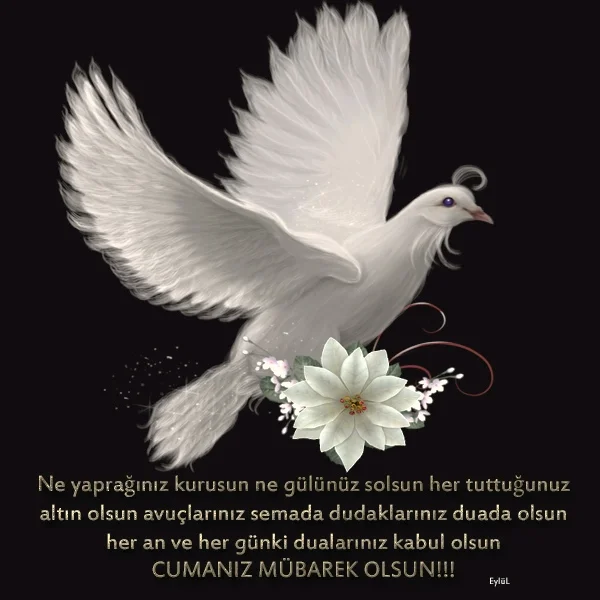 822cf830-b976-4da0-8f36-bdc98c3b0bdd_zps67a7718f.webp