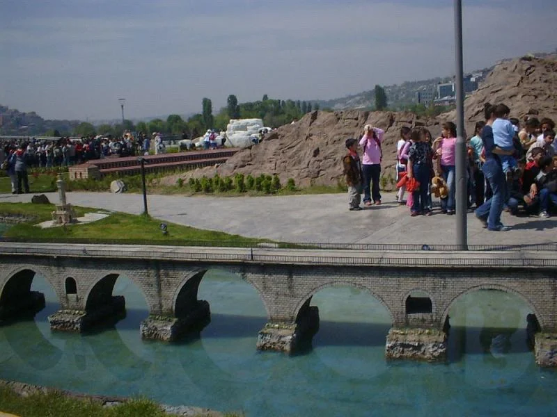 93.jpg