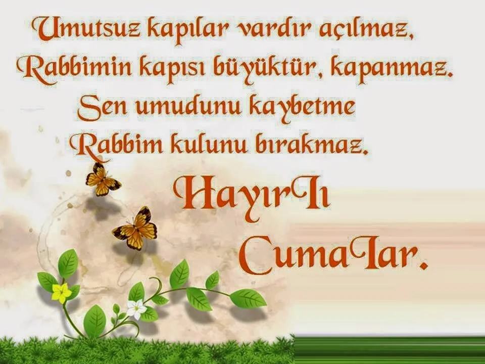 94f0c4.webp