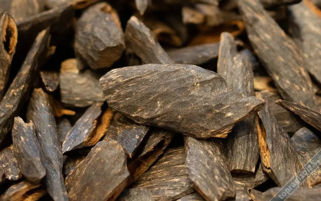 Agarwood Nedir ve Neden Bu Kadar Pahalıdır 3.webp