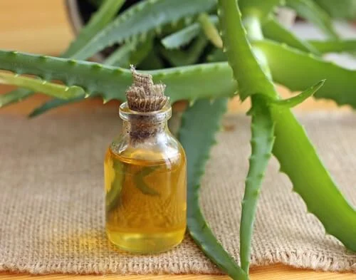 Aloe Vera Yağı
