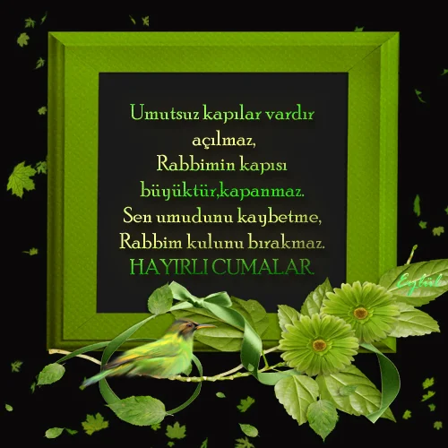 Ba15_F0l1310ks1310z-1_zpsf323e426.webp