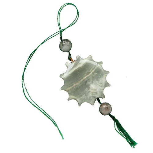 balgamia.jpg