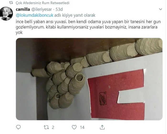 basliksiz-1.webp
