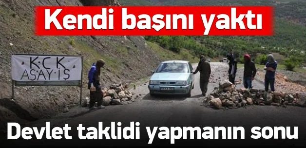 devlet-taklidi-yapmanin-sonu-1438676086-4148.jpg