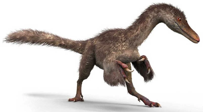 dinozooio.jpg