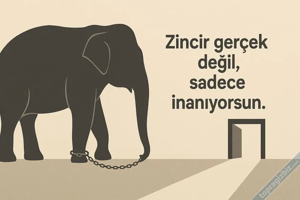 filin-zinciri.webp