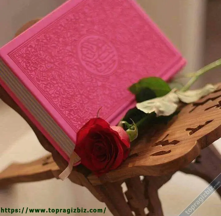 image.webp