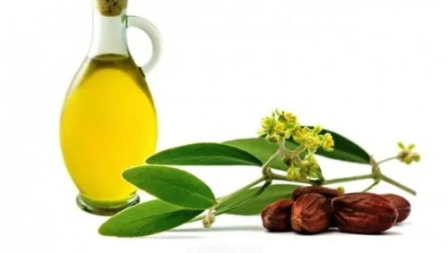 Jojoba Yağı