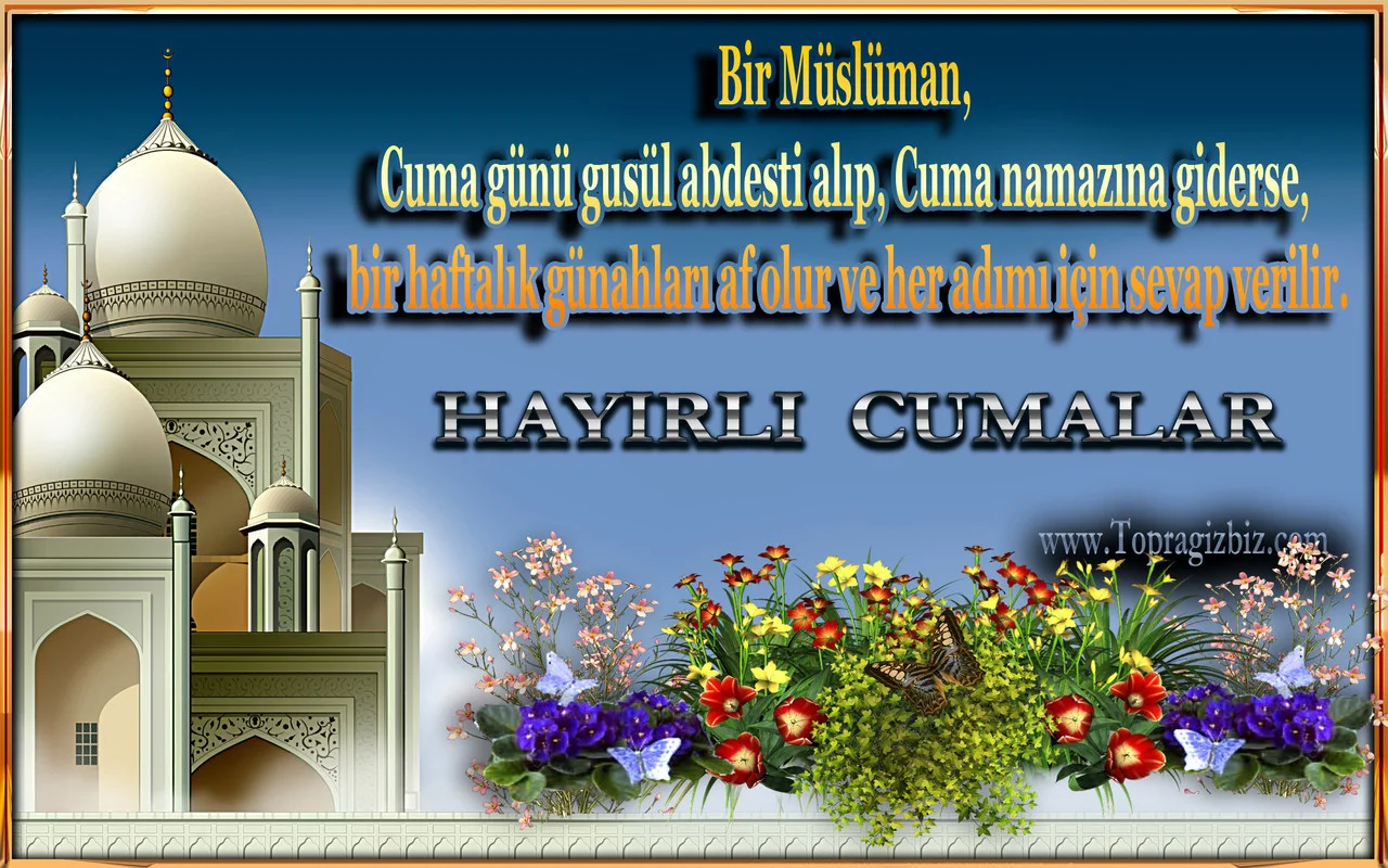 kg90_Yq.webp