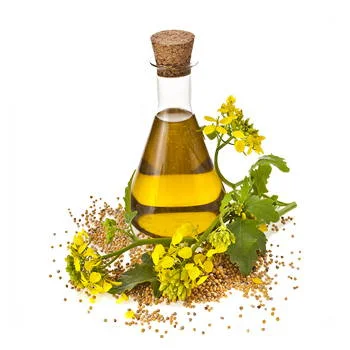 Kolza Yağı ve Faydaları