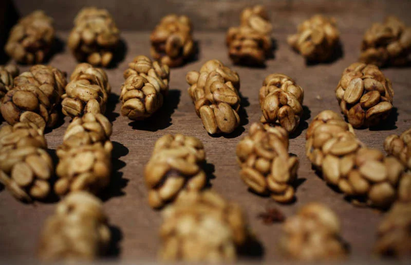 kopiluwak3.jpg