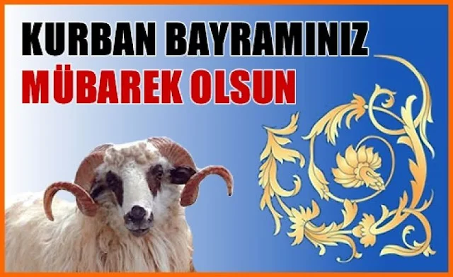 krbn3.webp
