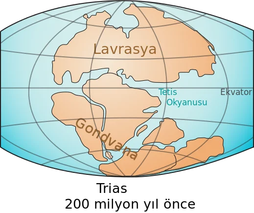 Gondvana (Pangea'dan Sonra Güney'de Kalan Parça)