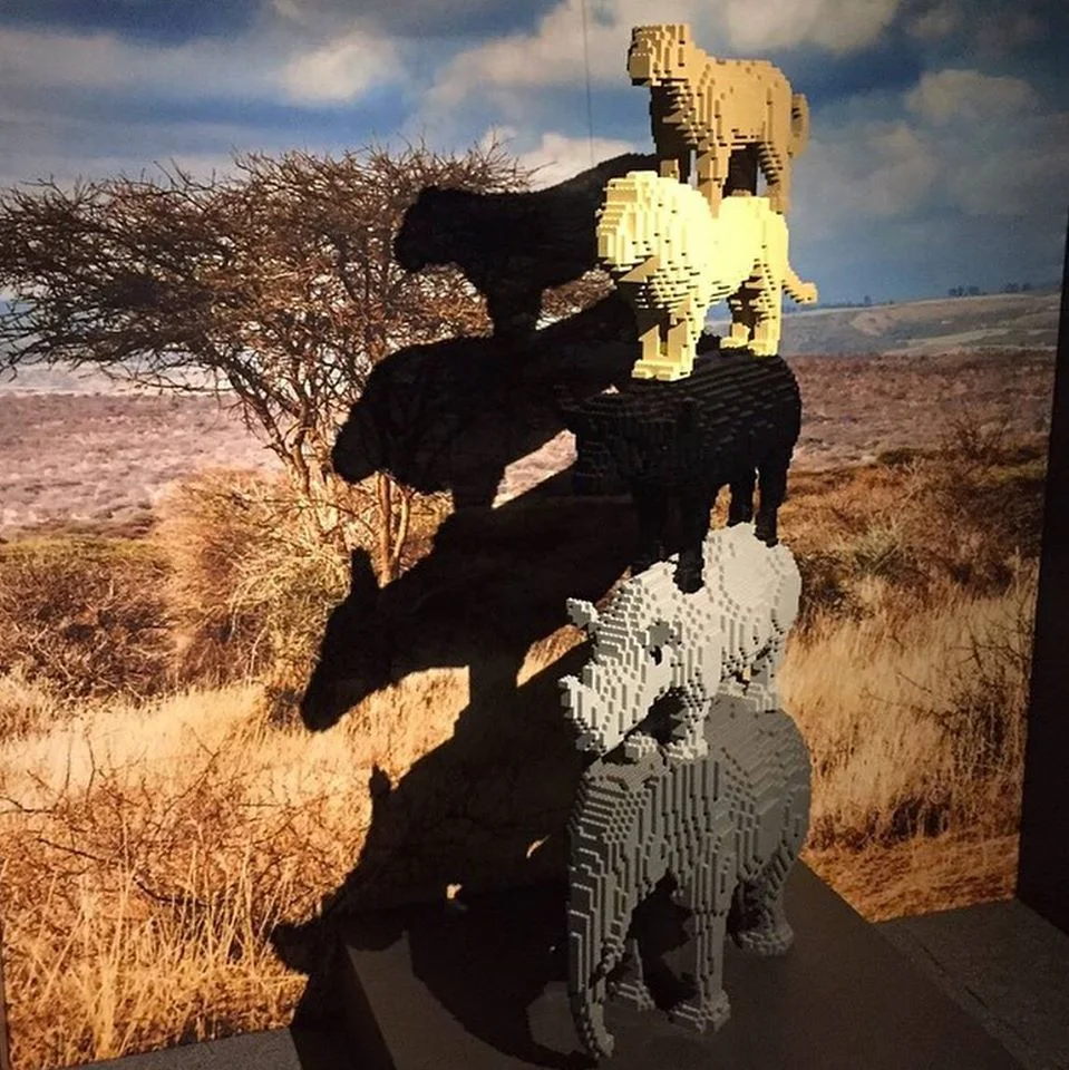 lego11.jpg