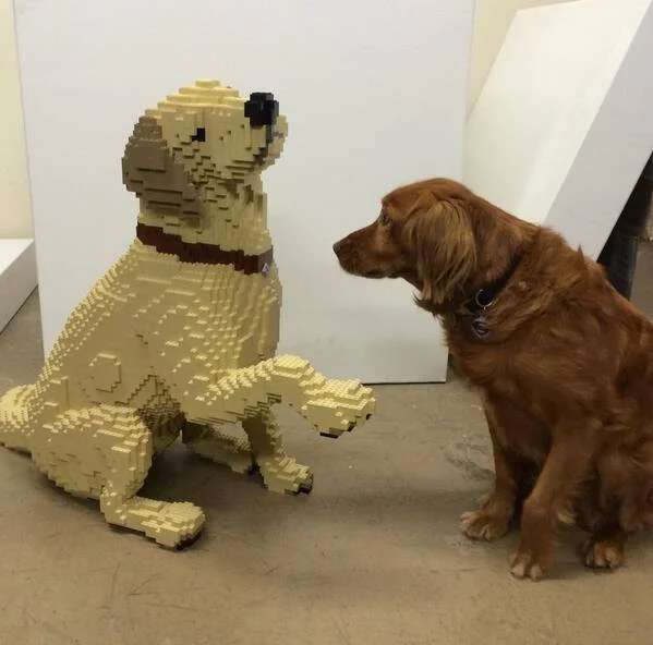 lego3.jpg