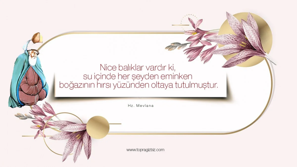 mevlana-hirs-sozleri_tb_75aafa6ba5bfd55d.jpg