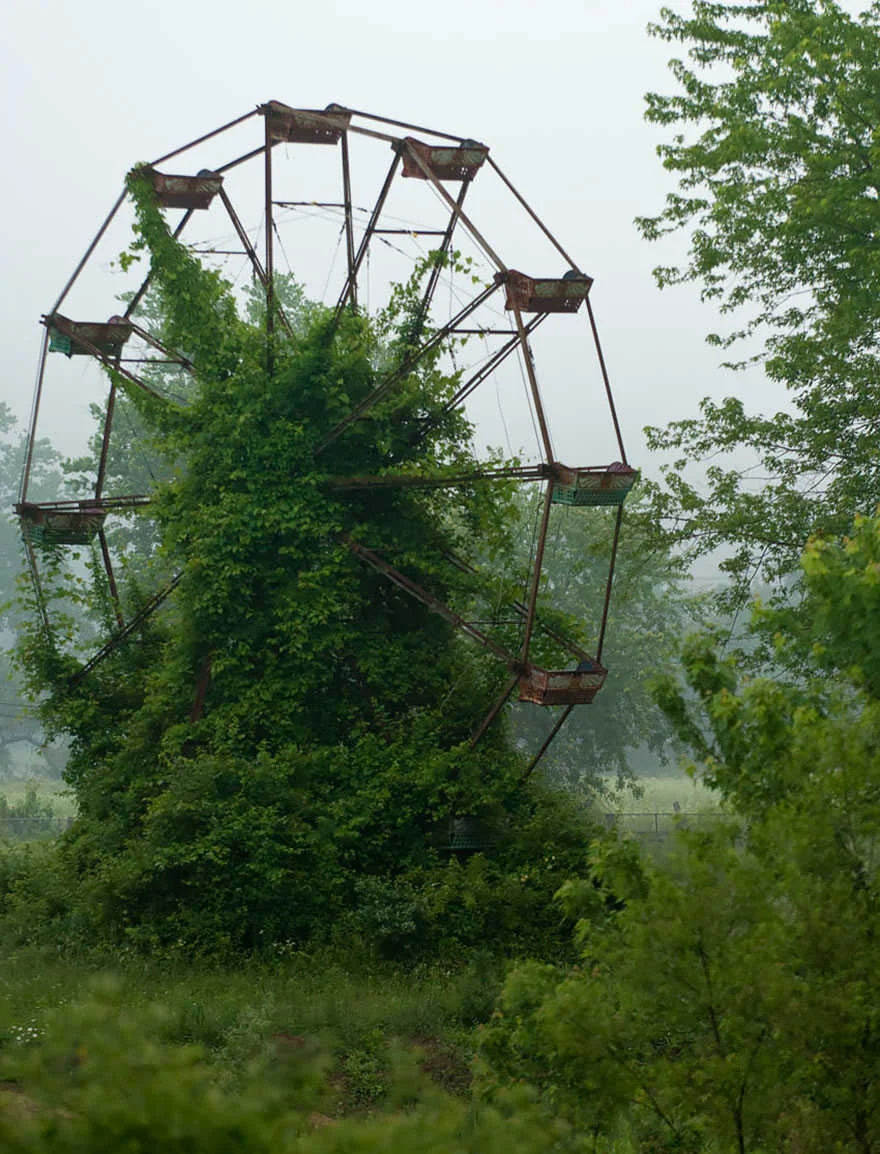 natureehe.jpg