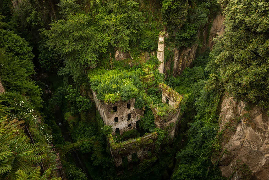 naturemnm.jpg