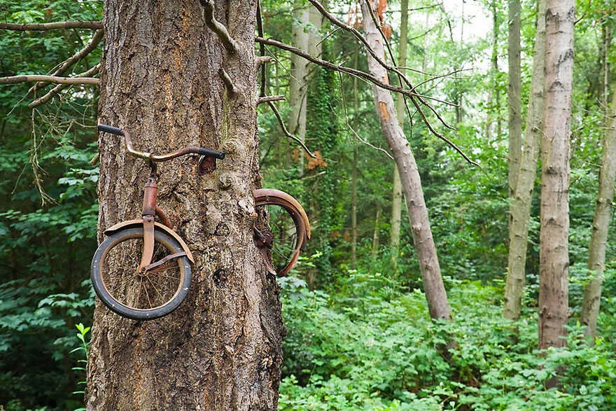 natureydy.jpg