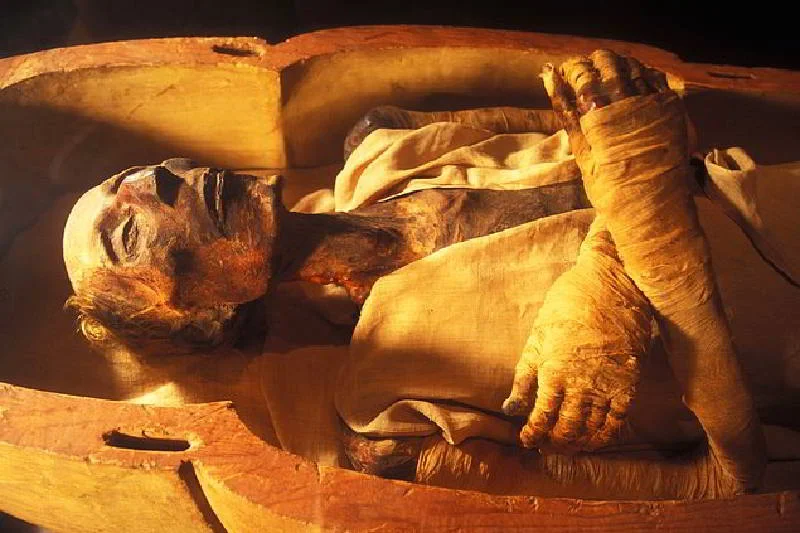ramses-2.jpg