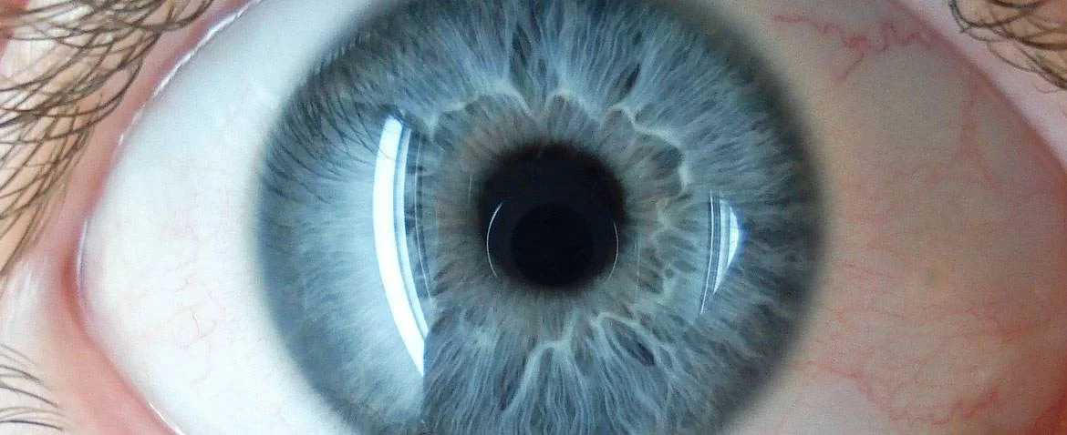 Retina Nedir? Retina Hastalıkları Ve Tedavileri