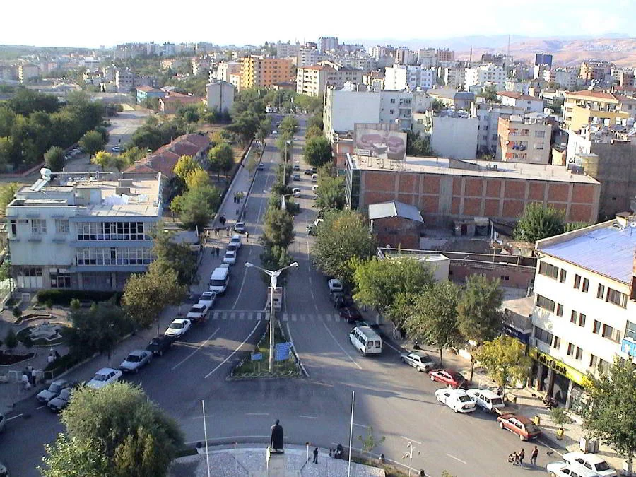 siirta983014a44903ce1.jpg