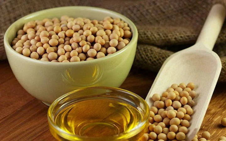 Soya Yağı Faydaları Zararları