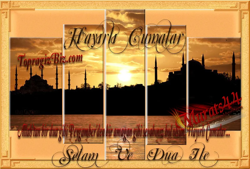 tb_zps7552b8f2.webp
