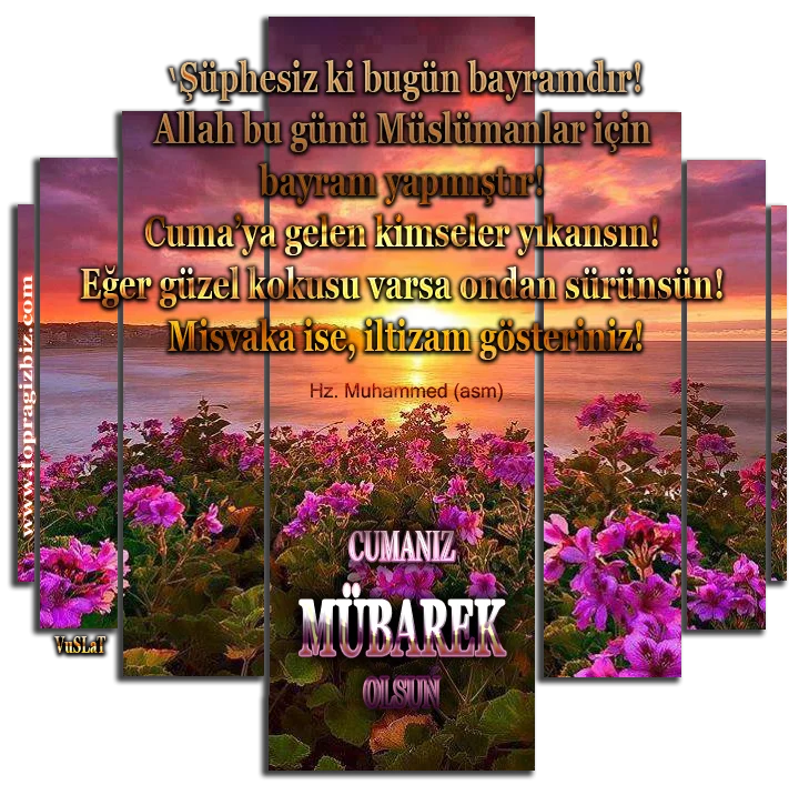 tbvuscuma_zpstamjogbf.webp
