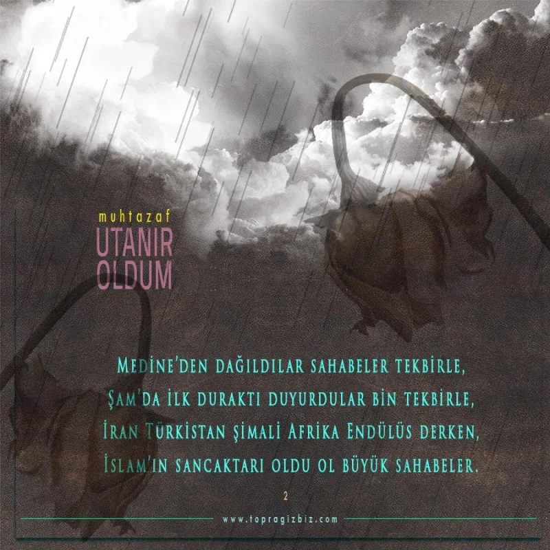 utanir-oldum_muhtazaf-tb_2_84bf68060bff22f9.webp
