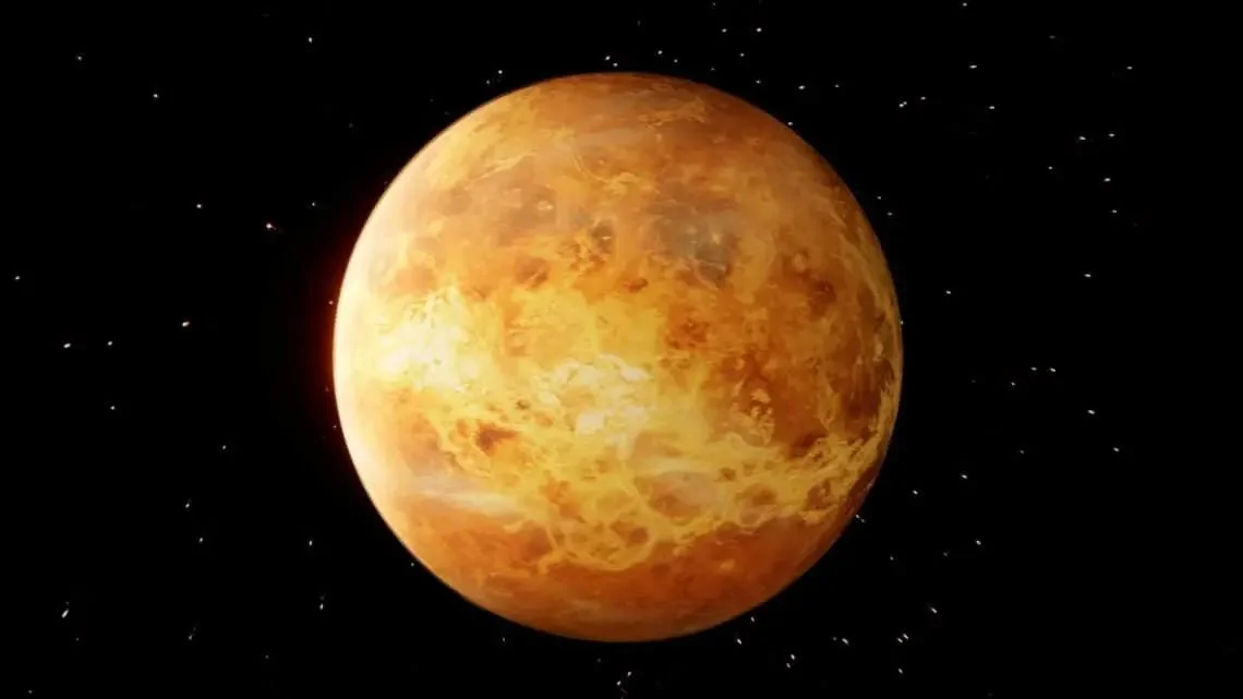venus1c55bc9ea15de359.jpg