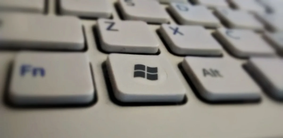 windows-39sqne.webp