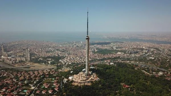 y_7436.jpg