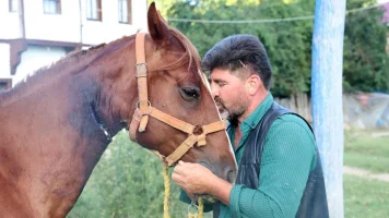 Veteriner ‘ölür’ dedi, bahçe hortumundan yaptığı damarla atını kurtardı