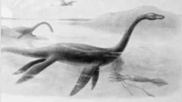 lochness.webp