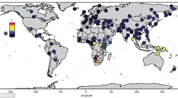 Yeni DNA analizi: 200 bin yıl önce Afrika’dan çıkan bir grup, bugün yaşayan tüm insanların atası