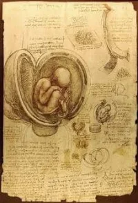 davinci-4.webp
