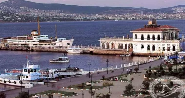 174.webp