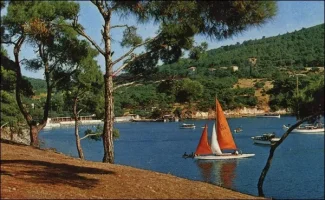 132.webp