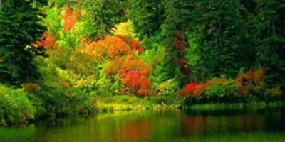 547.webp
